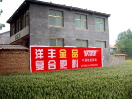  泗阳如何让墙体广告展现最大化效果