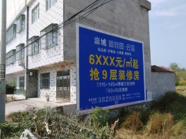  泗阳墙体广告质量分析