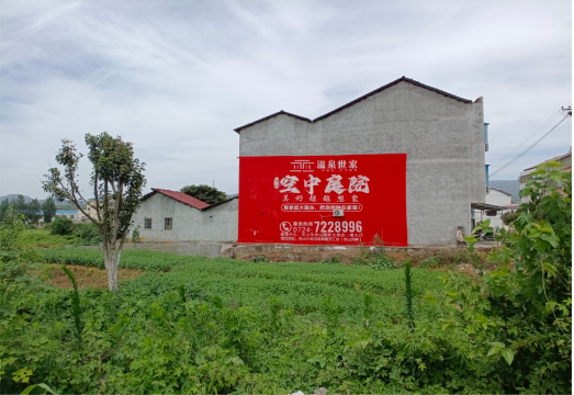  泗阳做墙体广告的意义