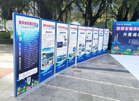  泗阳KT板的种类和知识。